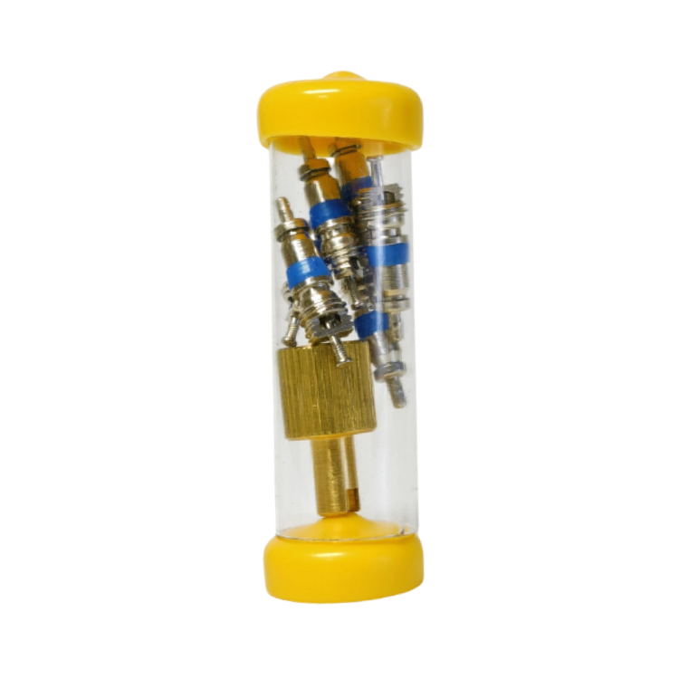 Valve core and remover kit